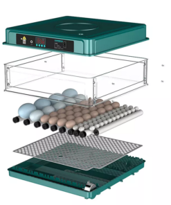 New Type 48 Eggs Automatic Chicken Egg Incubator And Hatcher Machine