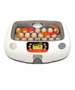 Artificial Intelligence Automatic Temperature & Humidity Control Egg Incubator Rcom MAX 20